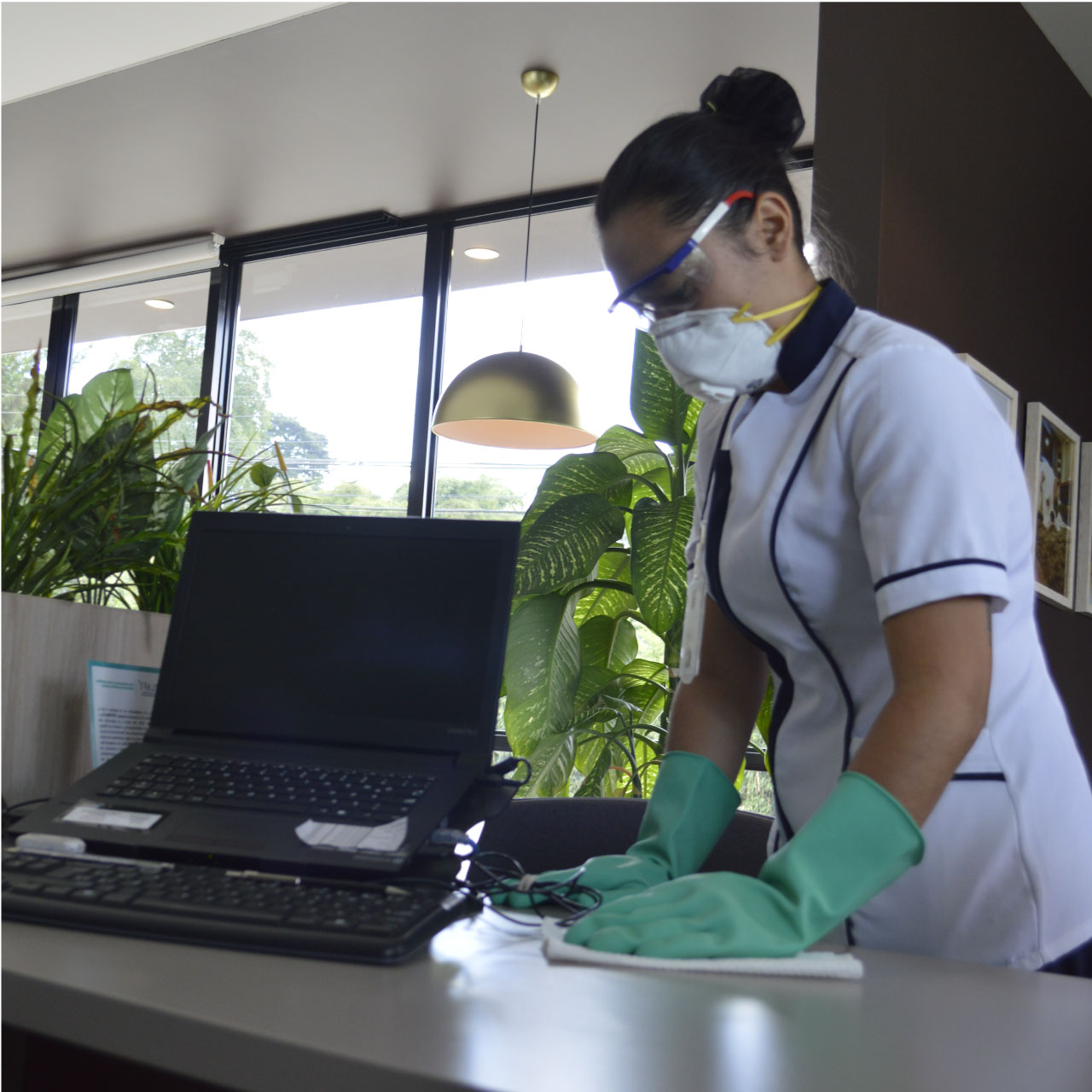 Limpieza y desinfección - Servicios- Aseo - Limpieza