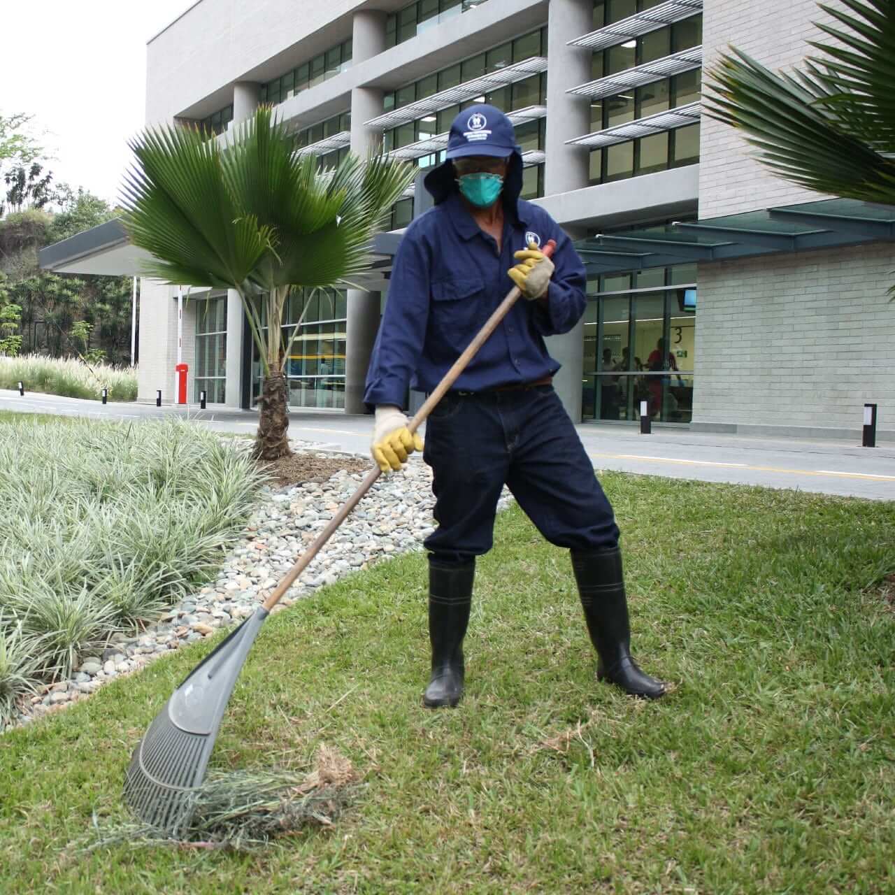 Servicio integral de jardinería