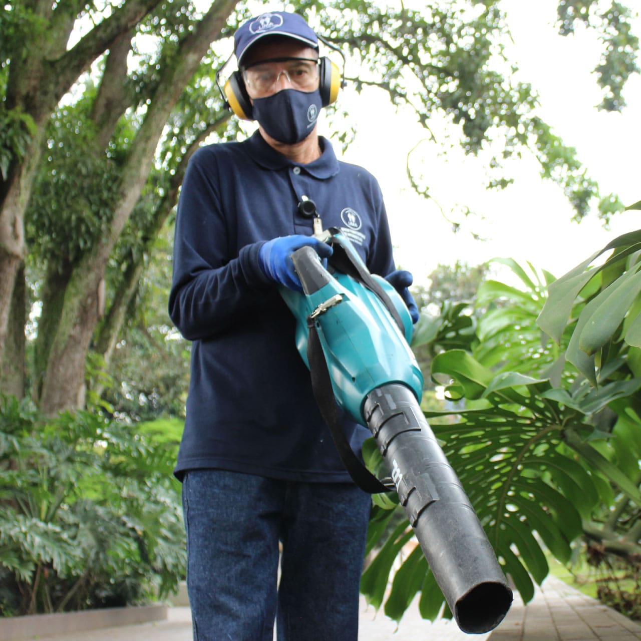 Mantenimiento de infra estructura física - alrededores